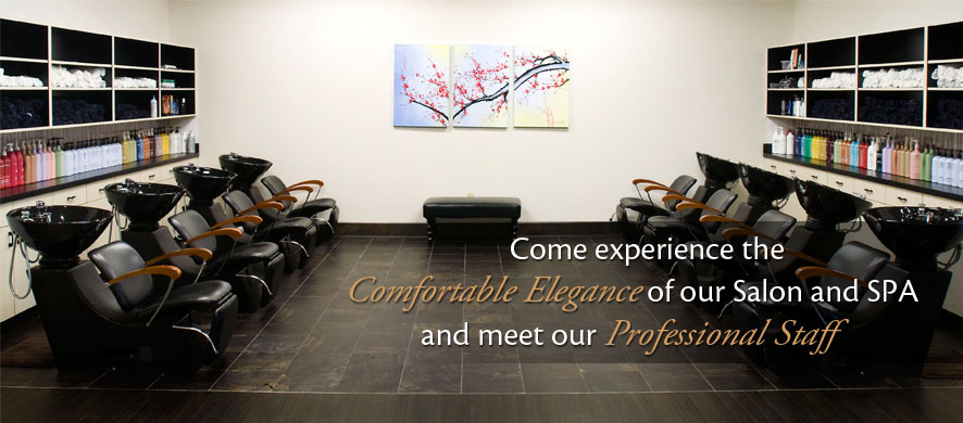 Come experience the comfortable elegance of our Salon and SPA and meet our professional staff