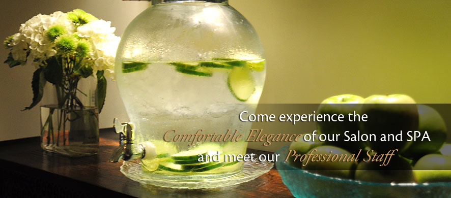 Come experience the comfortable elegance of our Salon and SPA and meet our professional staff