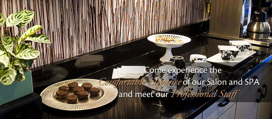 Come experience the comfortable elegance of our Salon and SPA and meet our professional staff